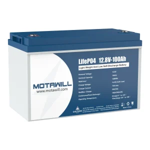 12v 100Ah deep cycle lithium battery 2