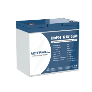 deep cycle 12v 50ah lithium battery 1